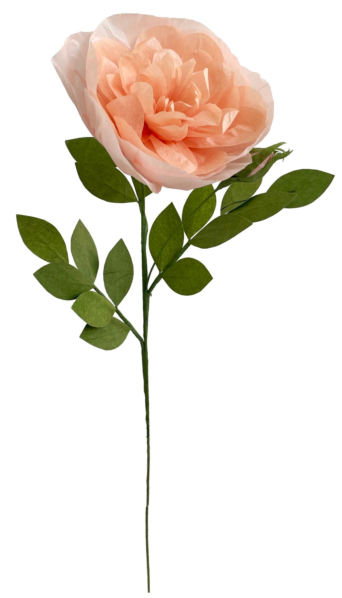 Papieren Bloem Rose with Bud (Pink)