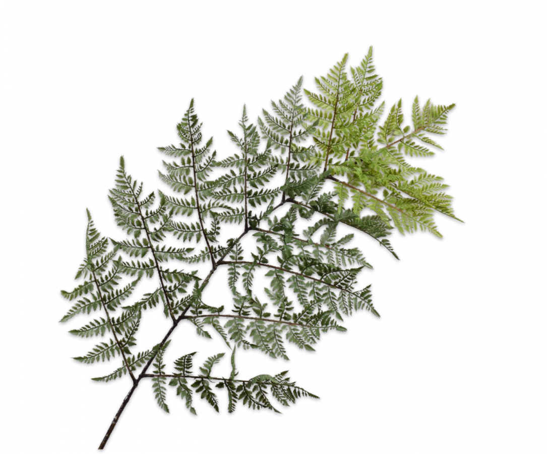 Varen Tak 157cm (Groen)