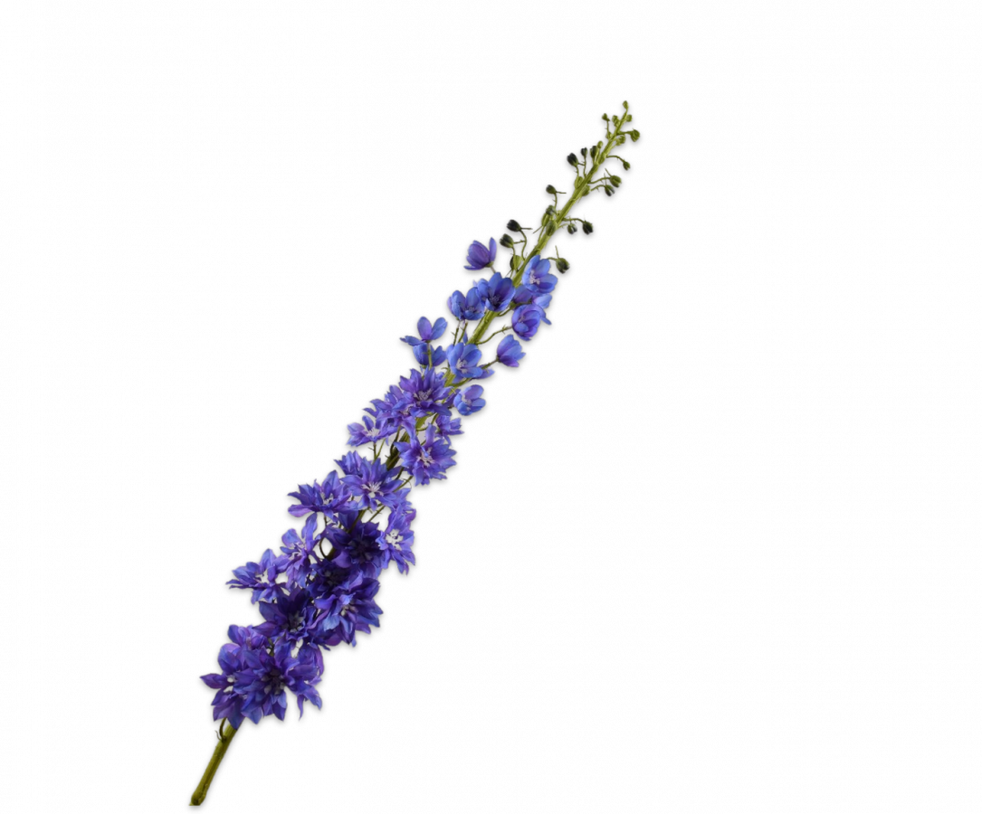 Delphinium Steel 135cm (Blauw)