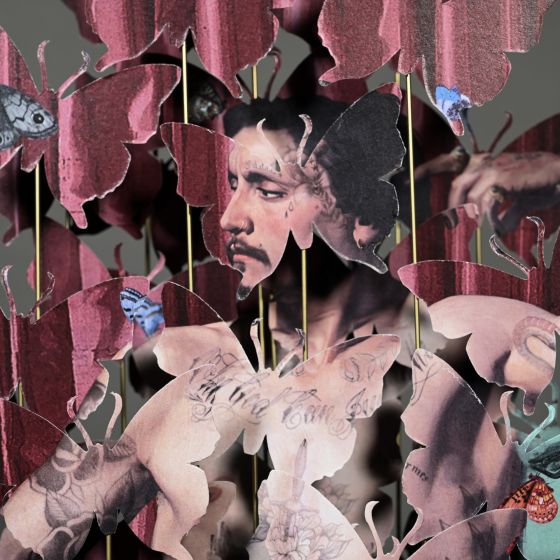 Anamorfose "The Dandy"