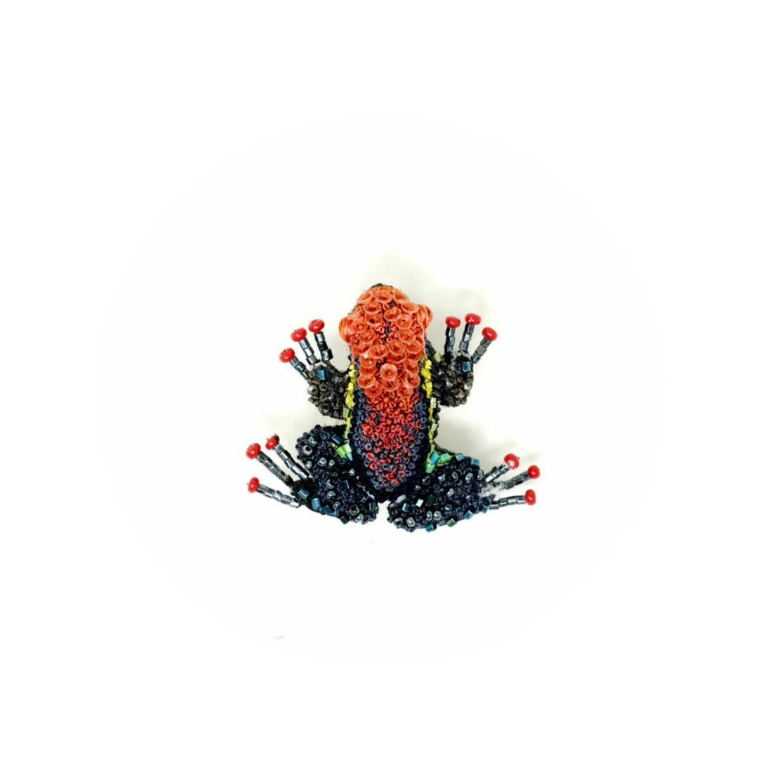 Cainarachi Frog Brooch Pin