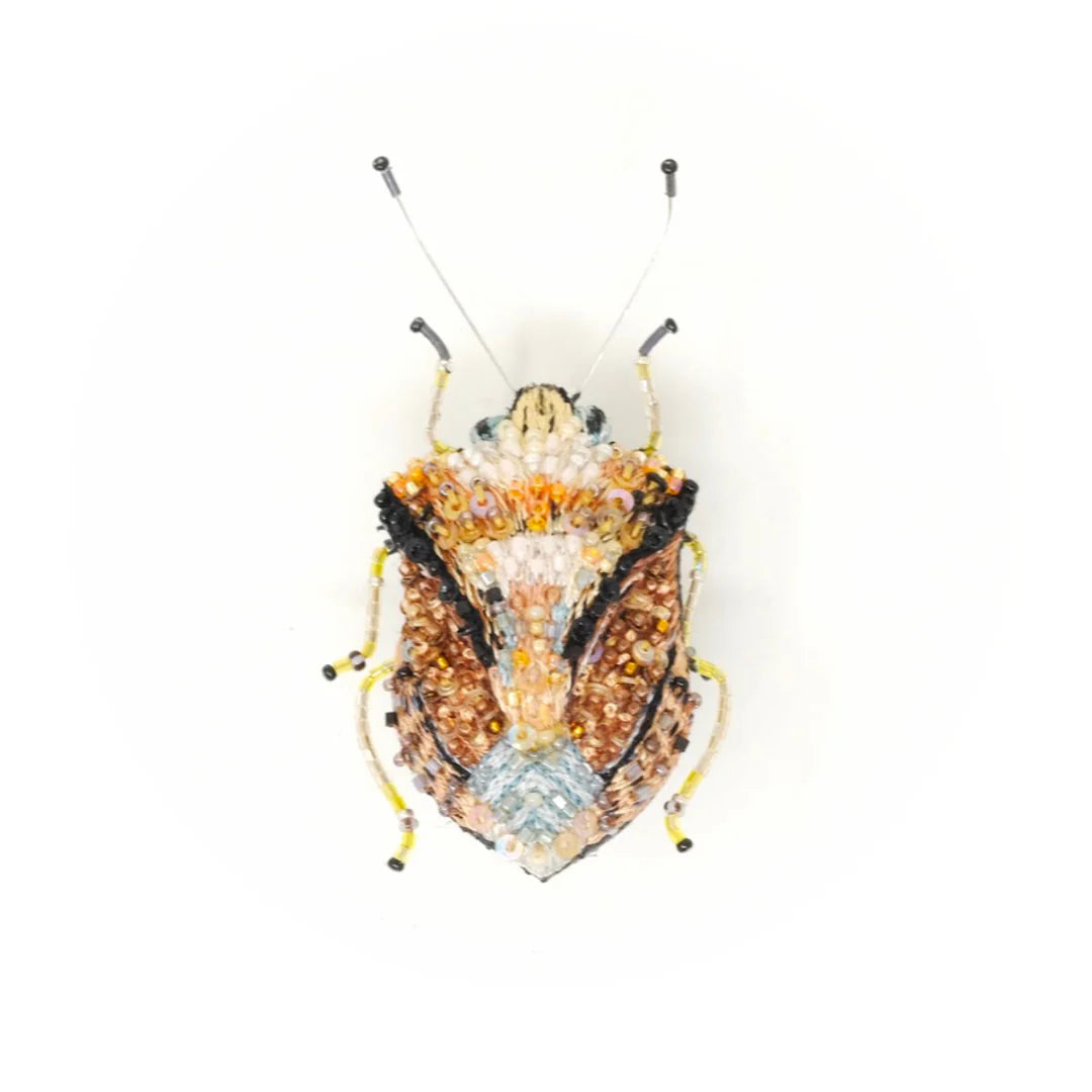 European Shield Bug Brooch Pin
