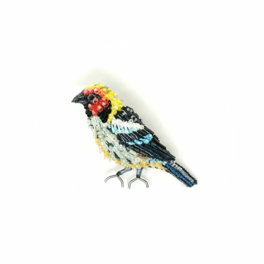 Flame Faced Tanager Brooch Pin