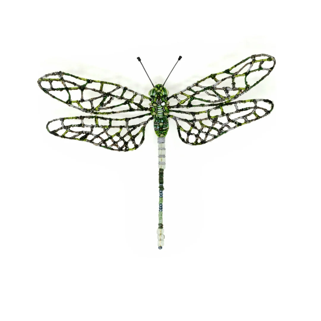 Southern Hawker S Dragonfly Brooch Pin