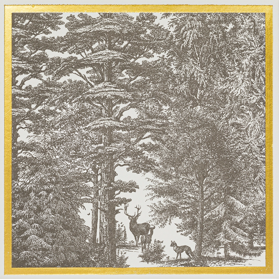 Enchanted Forest Matches