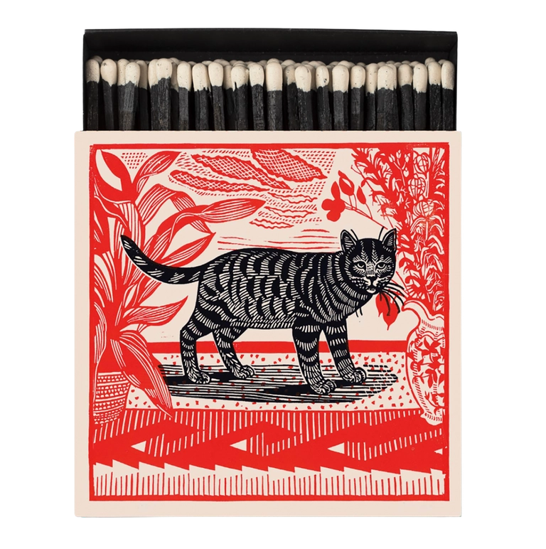 Sasha The Cat Matches