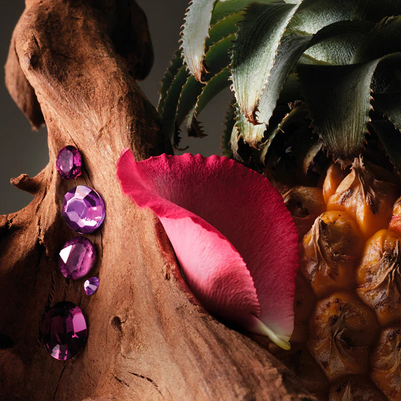Absolu de Parfum Oud Paradisio