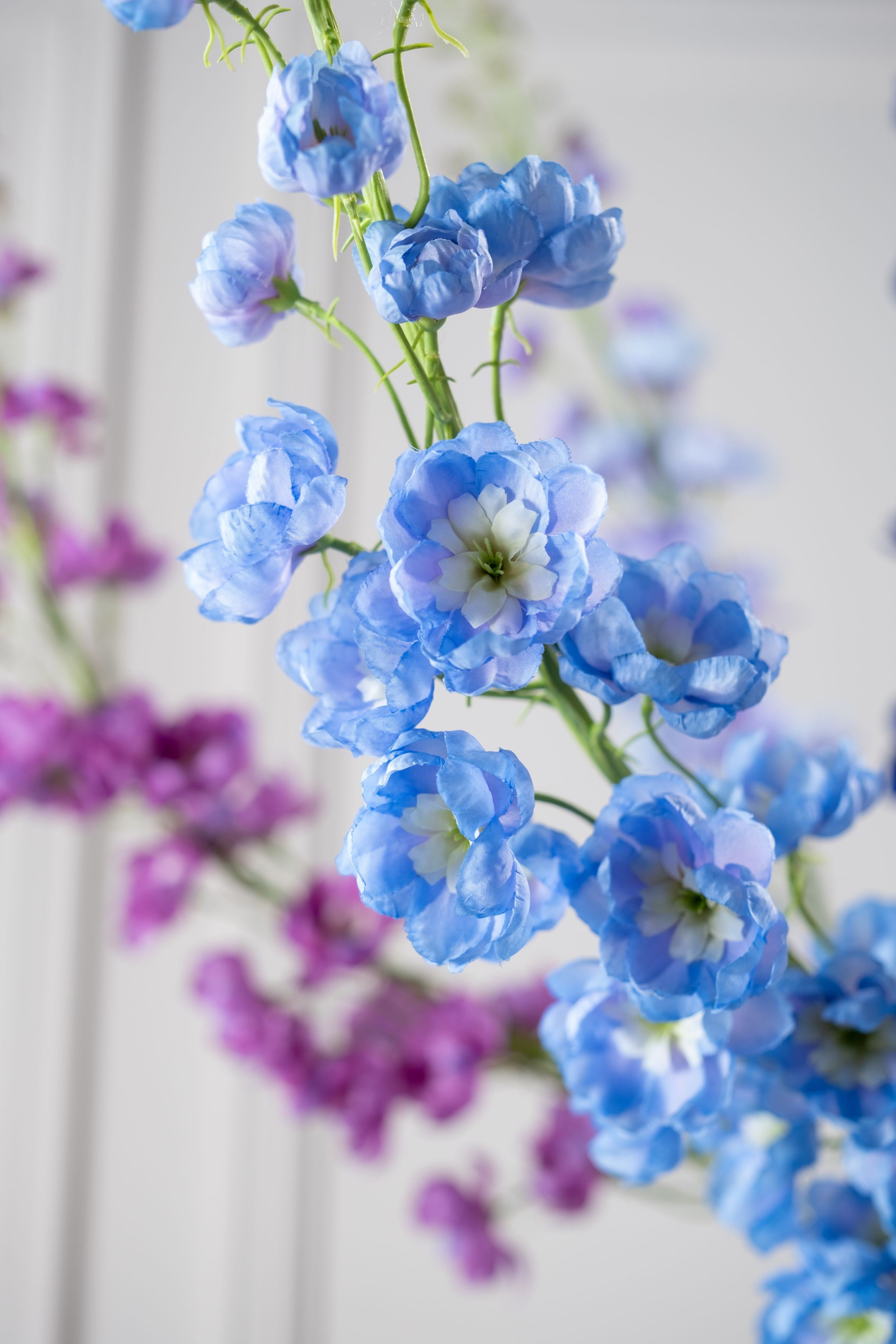 Delphinium Steel 127cm (Blauw)