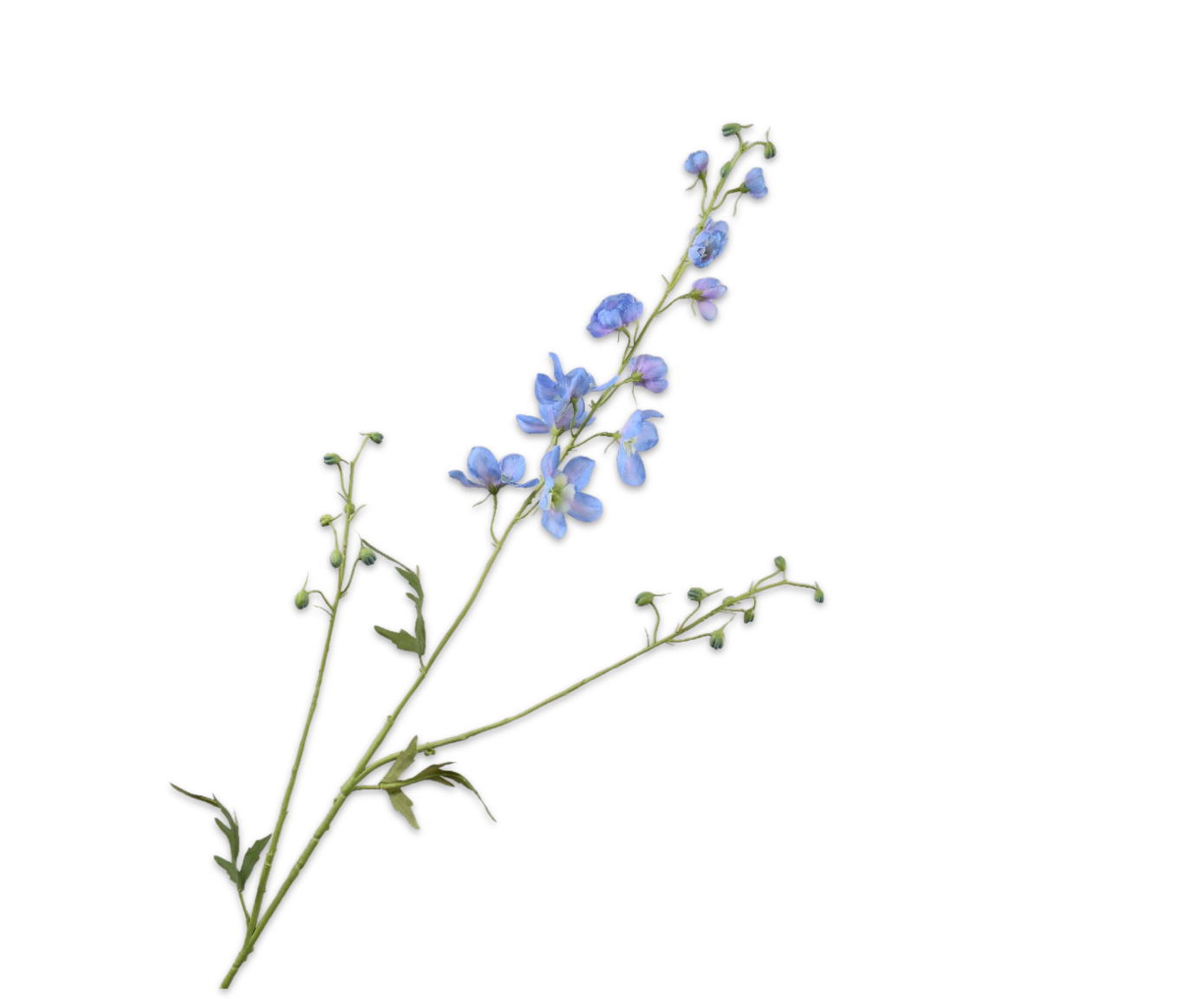 Delphinium Tak 101cm (Licht Blauw)