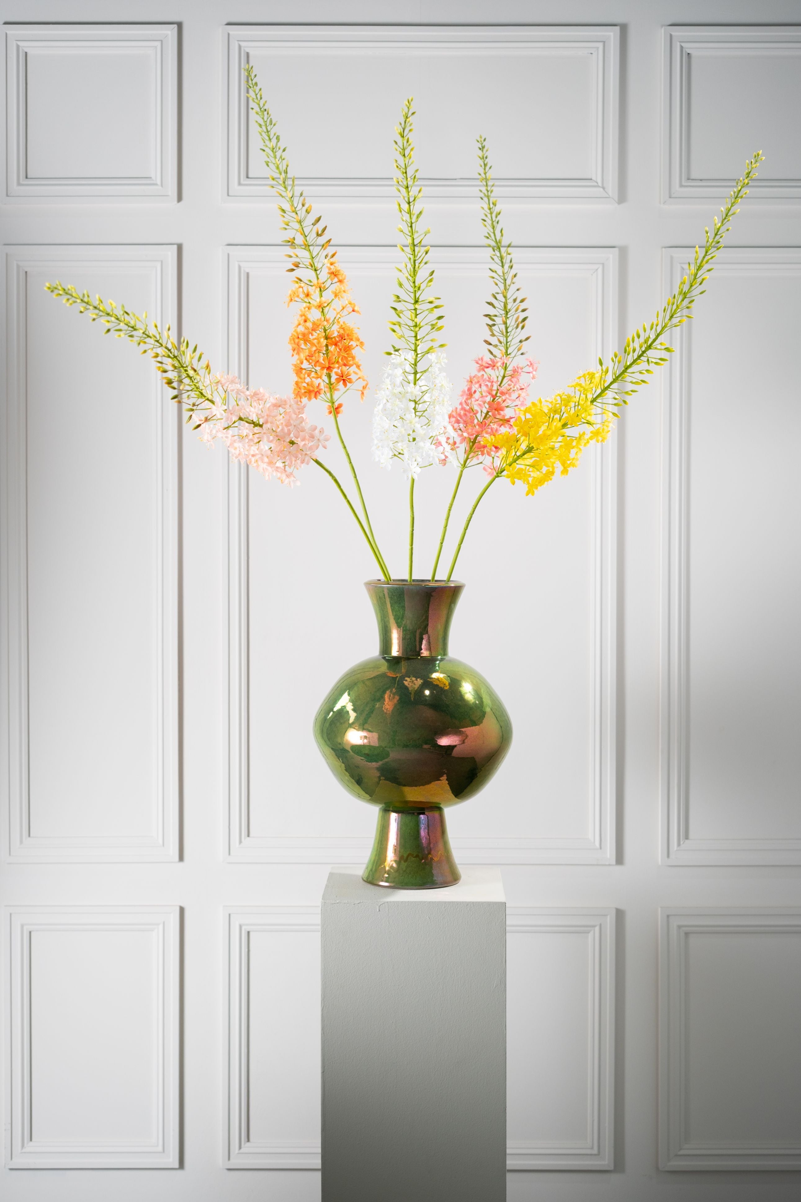 Eremurus Steel 161cm (Creme)