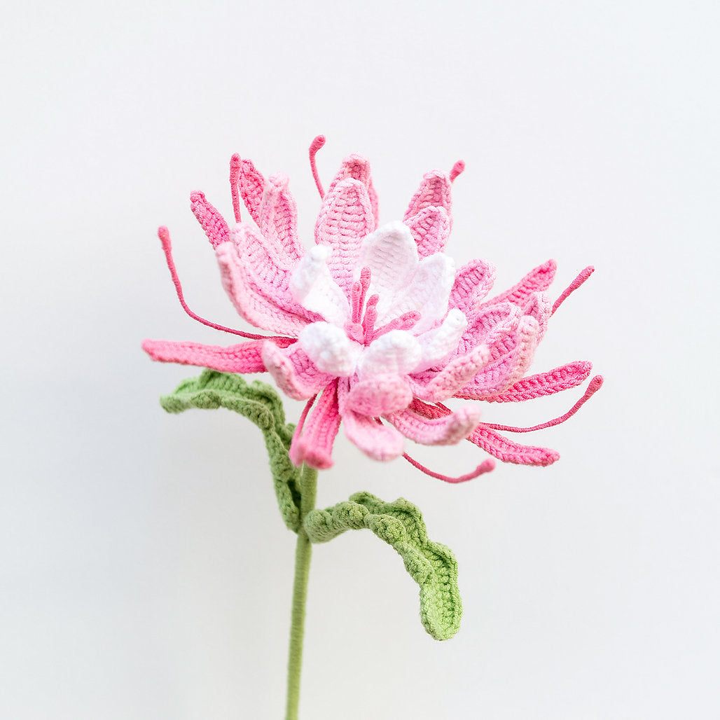Gehaakte Nachtkoningin Bloem (Pink)