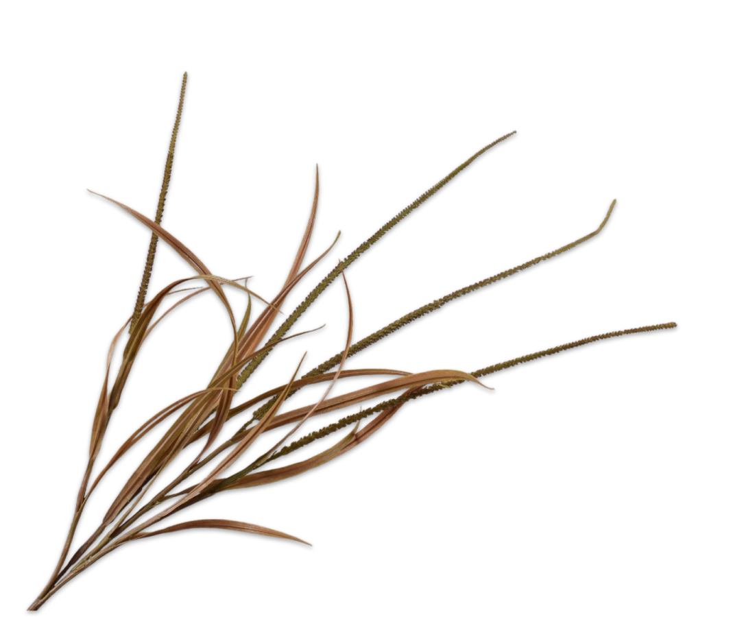 Gras Tak 132cm (Groen/Bruin)