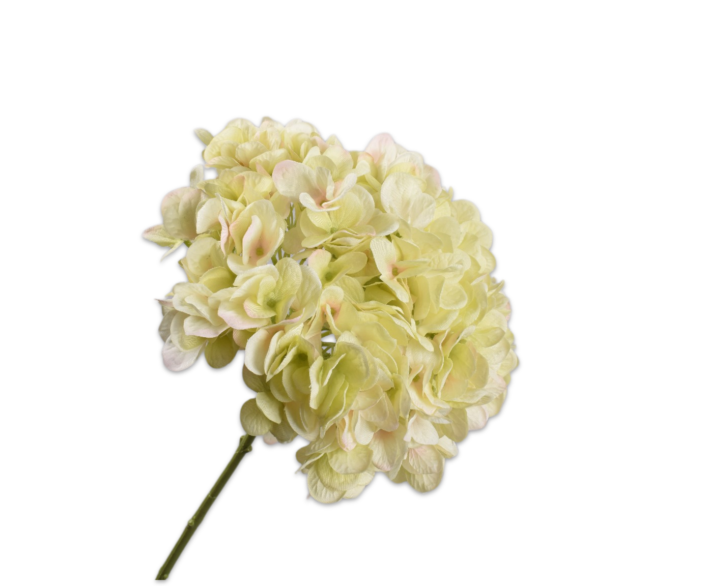 Hortensia Steel 86cm (Creme/Groen)