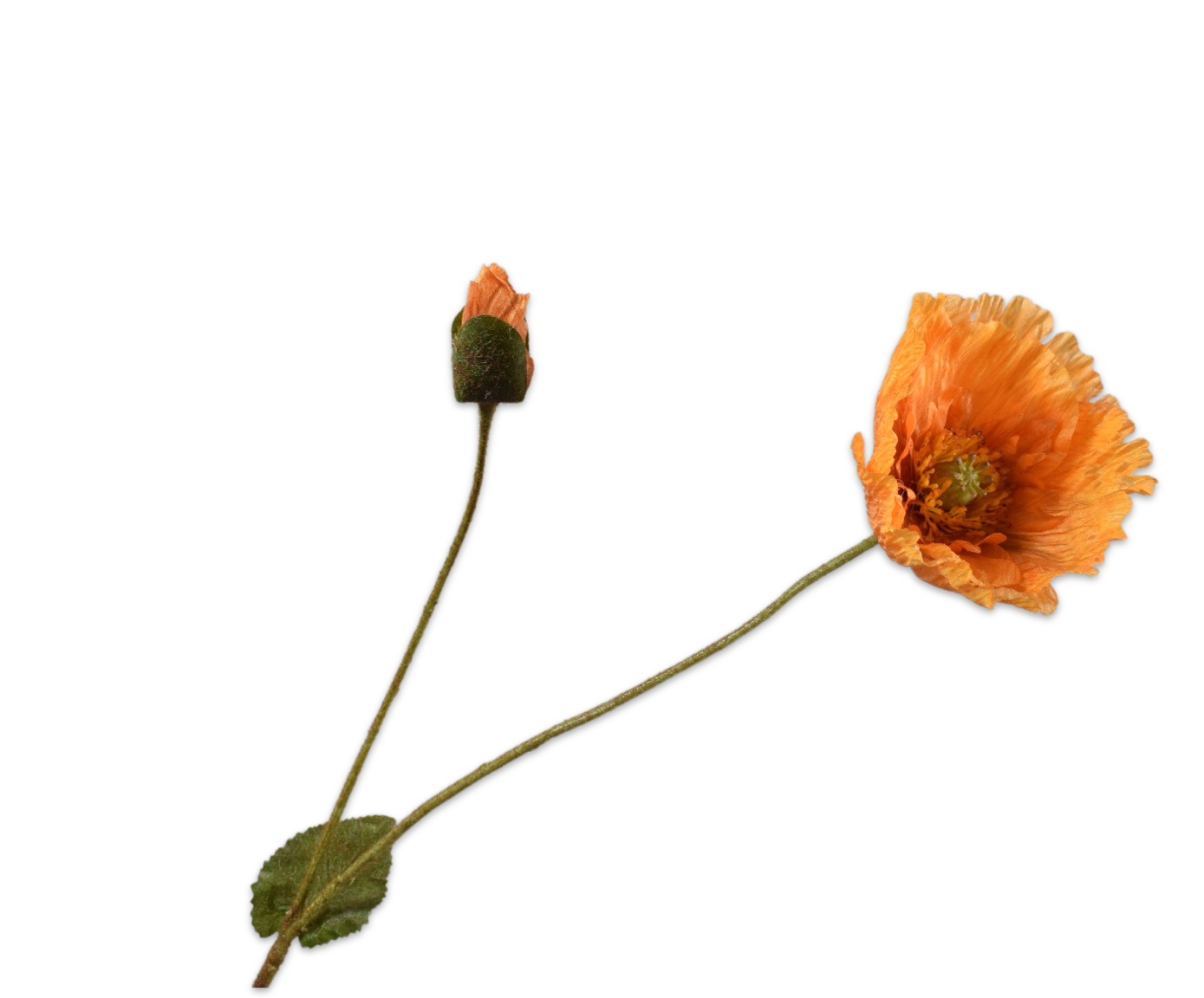 Klaproos Tak 74cm (Oranje)