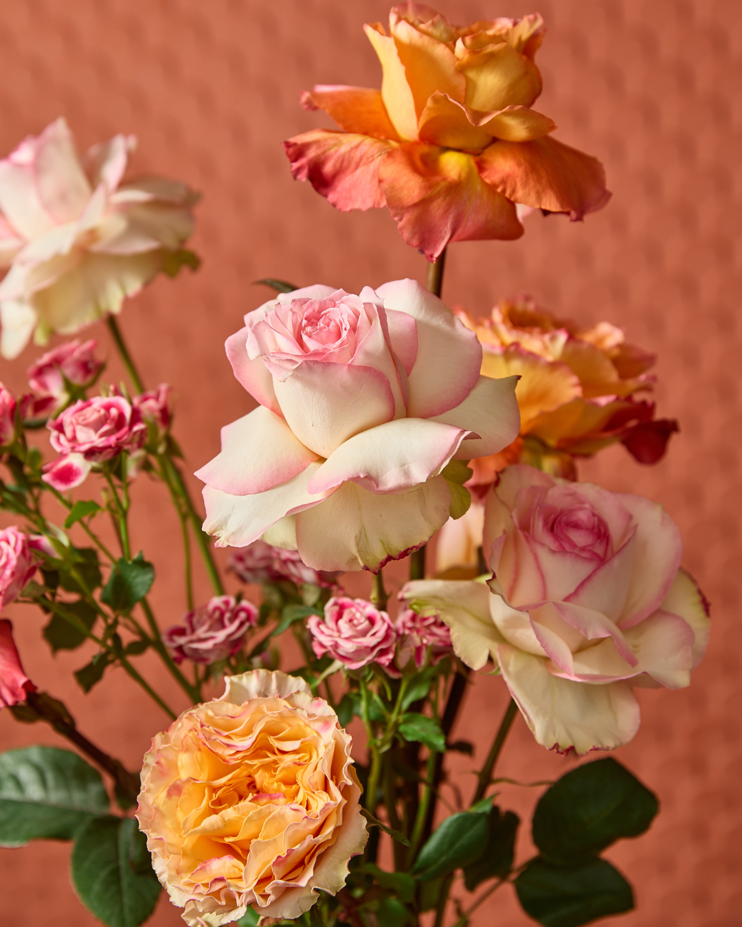 La Vie en Rose
