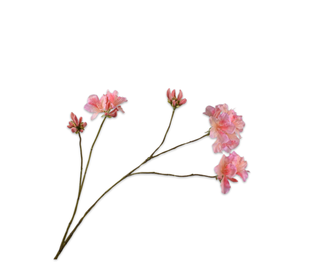 Rhododendron Tak 108cm (Roze)