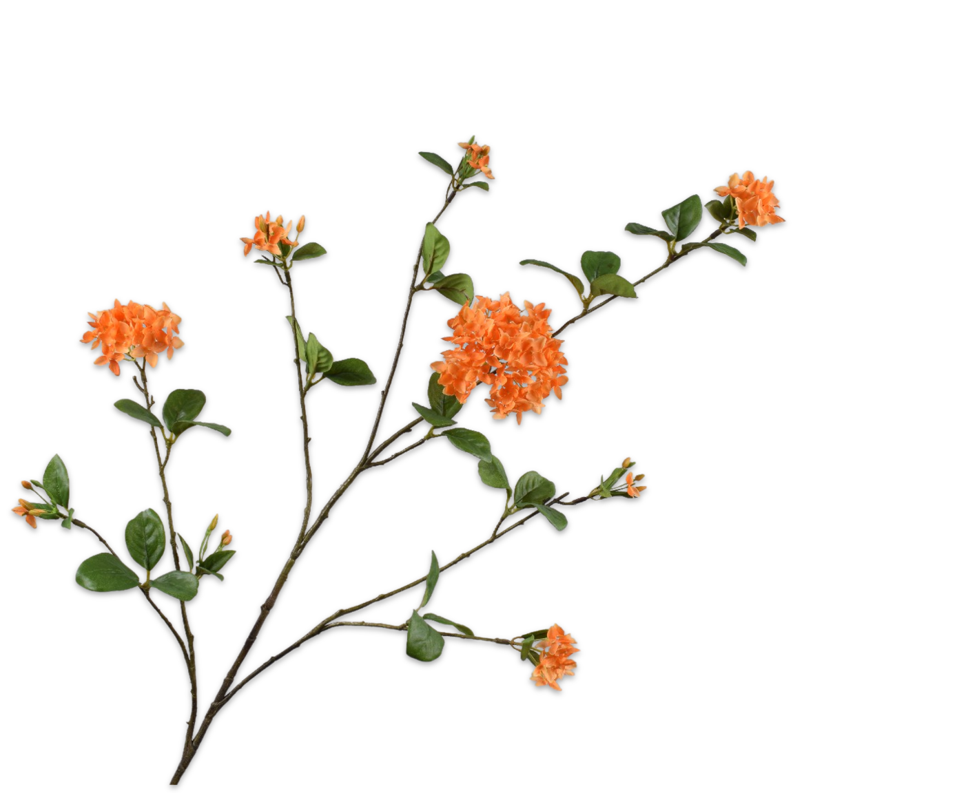Sering Tak 116cm (Oranje)