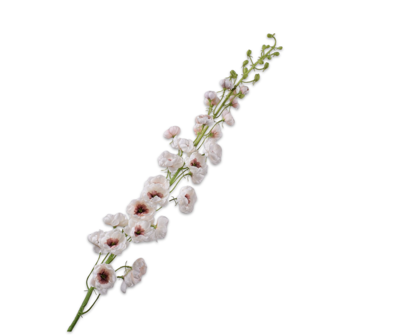 Delphinium Steel 127cm (Creme)