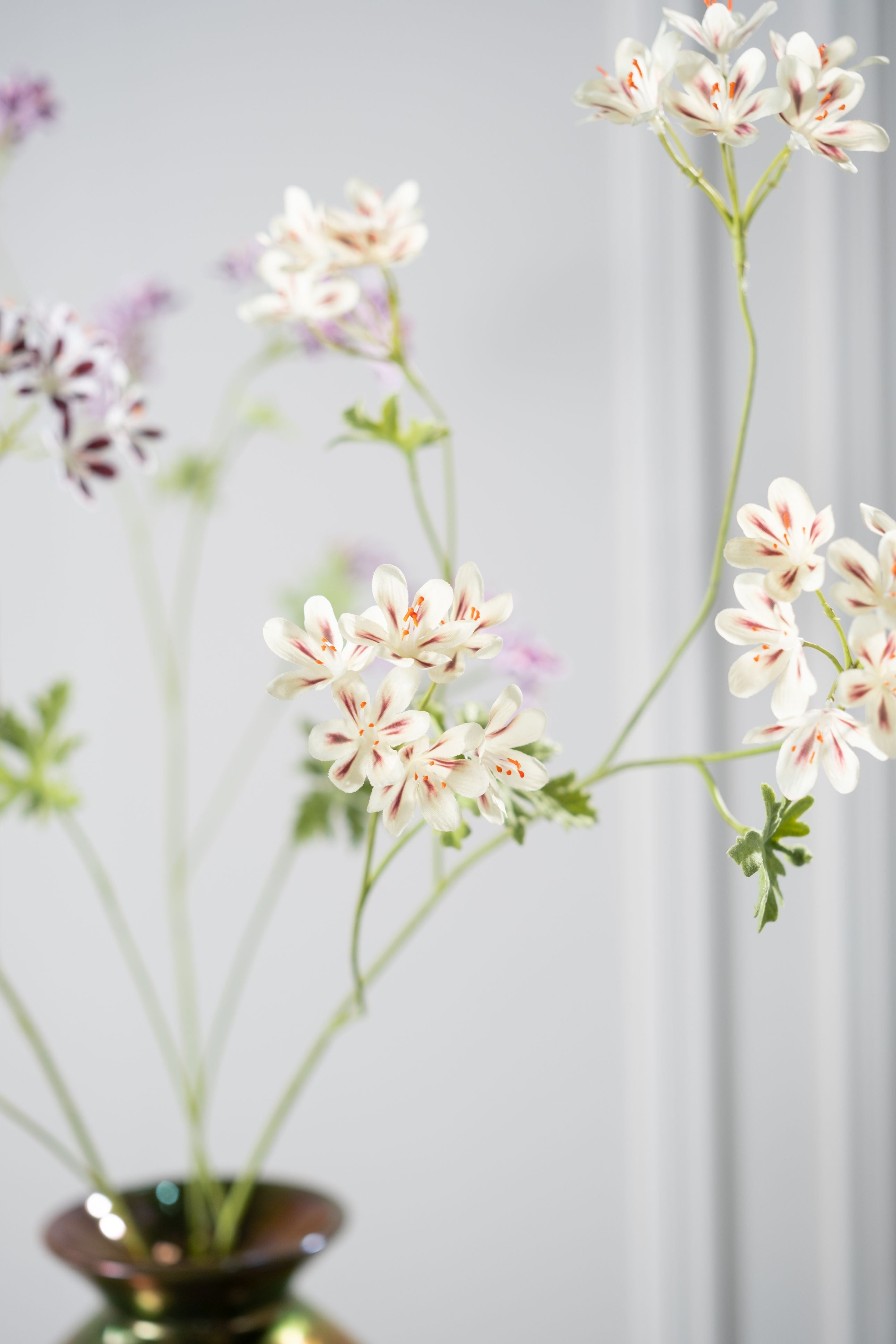 Geranium Tak 94cm (Creme/Bruin)