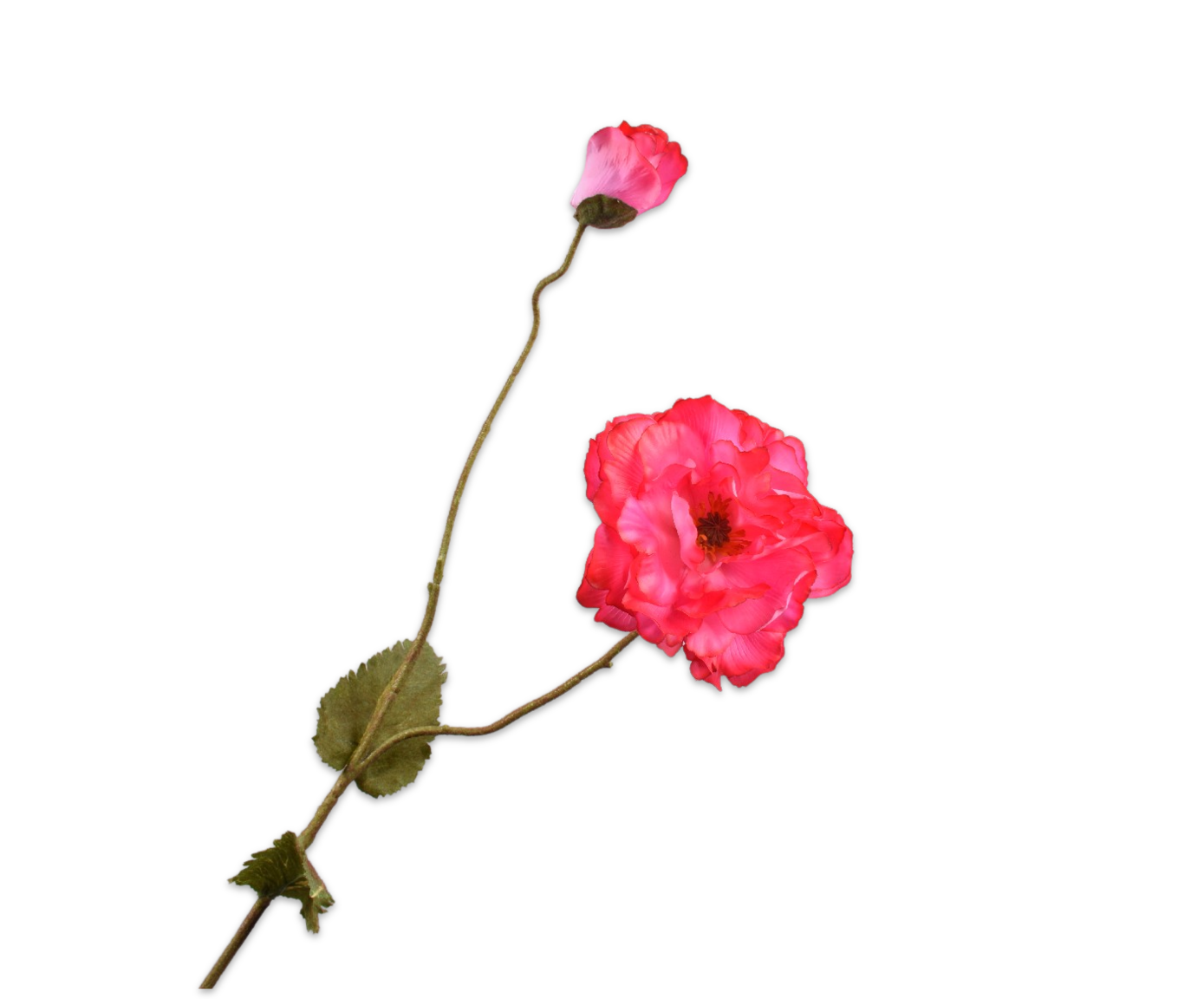 Klaproos Tak 109cm (Beauty Real Touch)