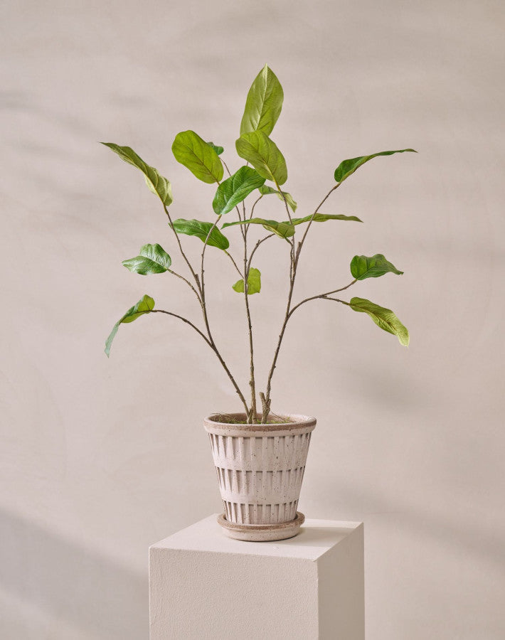 Bladtak Magnolia 96cm (Groen)