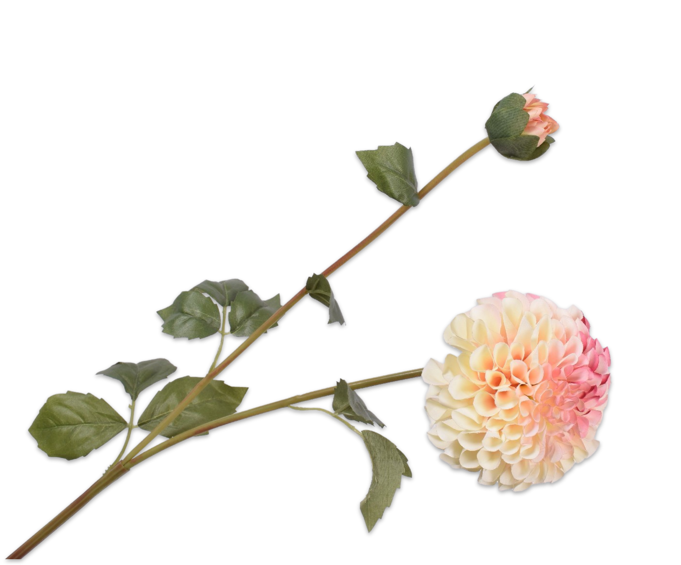 Dahlia Tak 80cm (Creme/Roze)