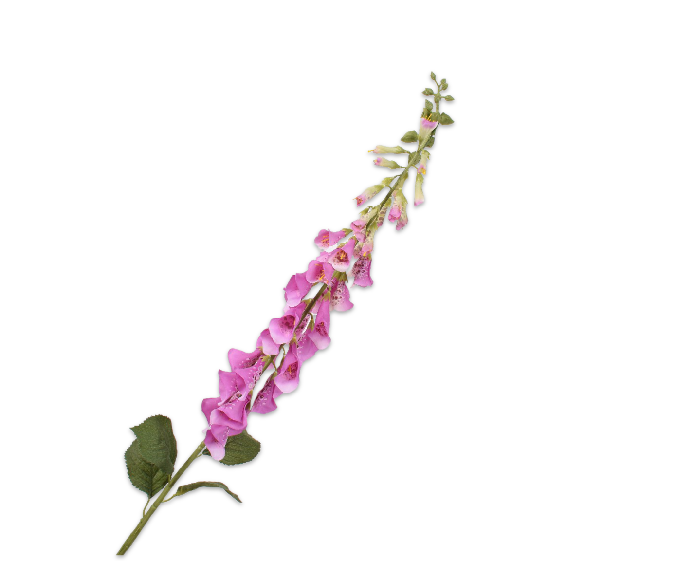 Digitalis Steel 127cm (Paars)
