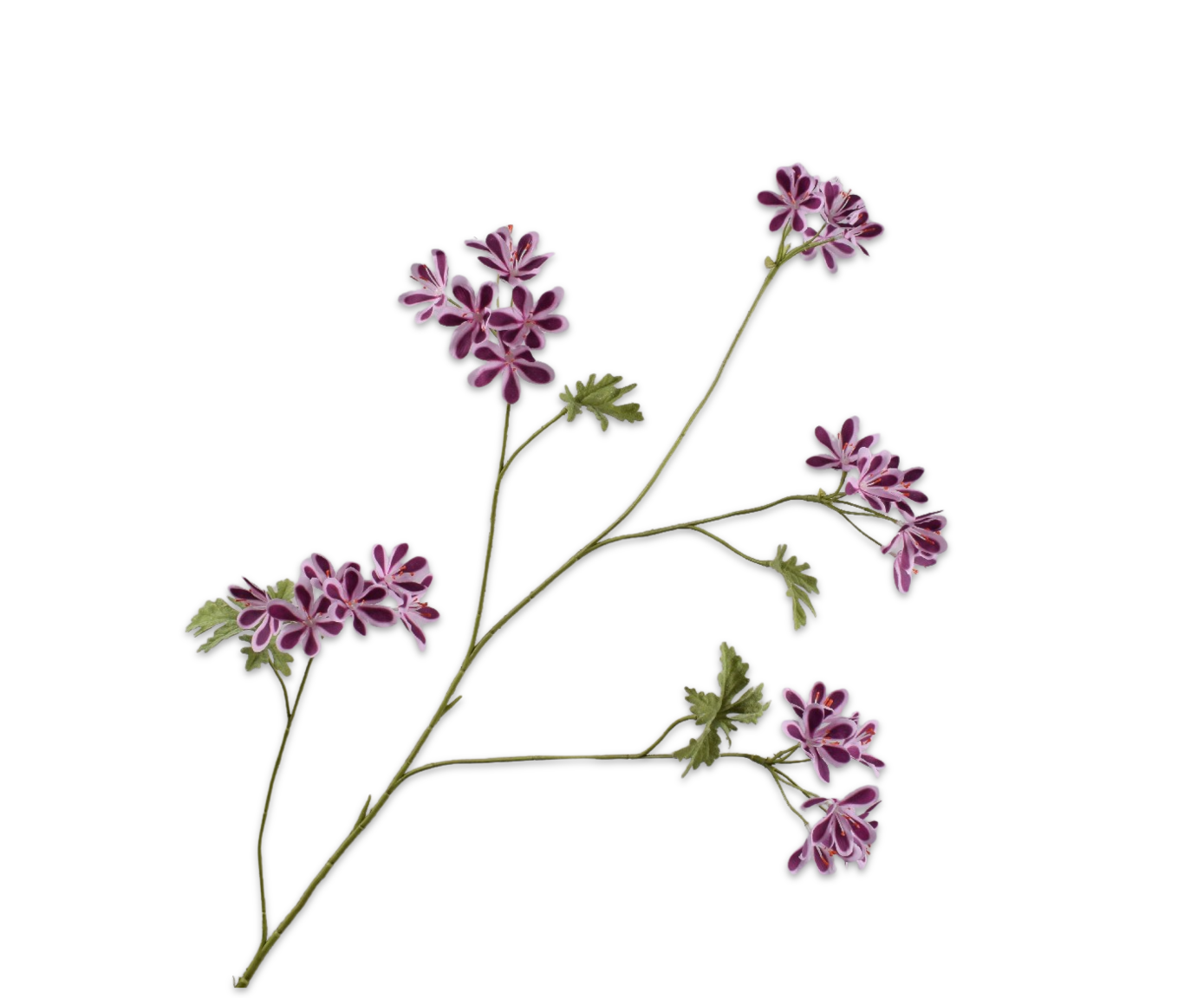 Geranium Tak 94cm (Paars)