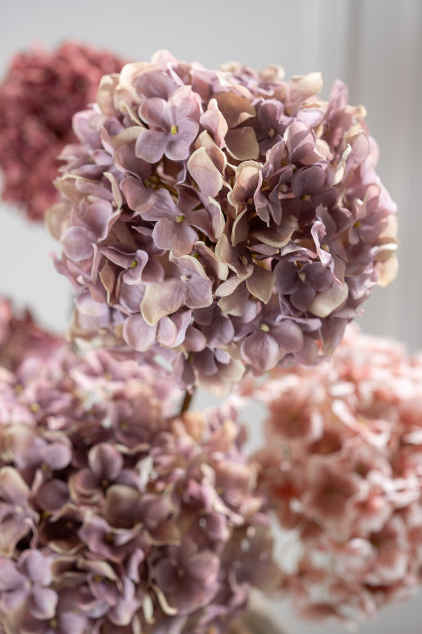 Hortensia Steel 70cm (Lavendel)