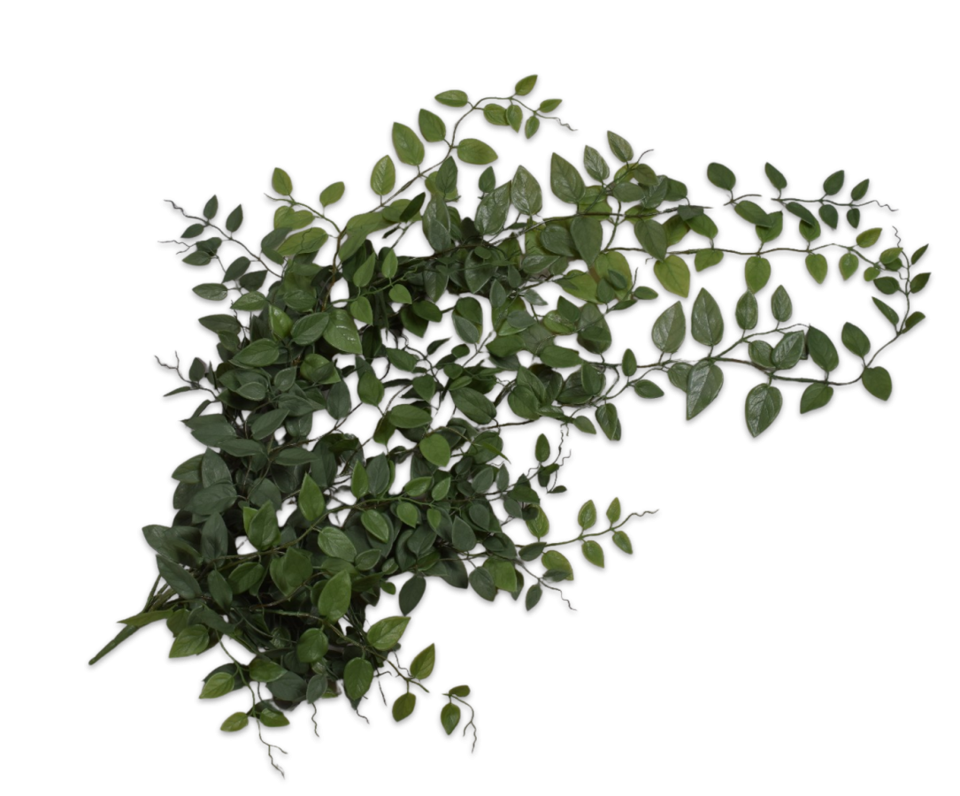 Hangende Hoya 91cm (Groen)