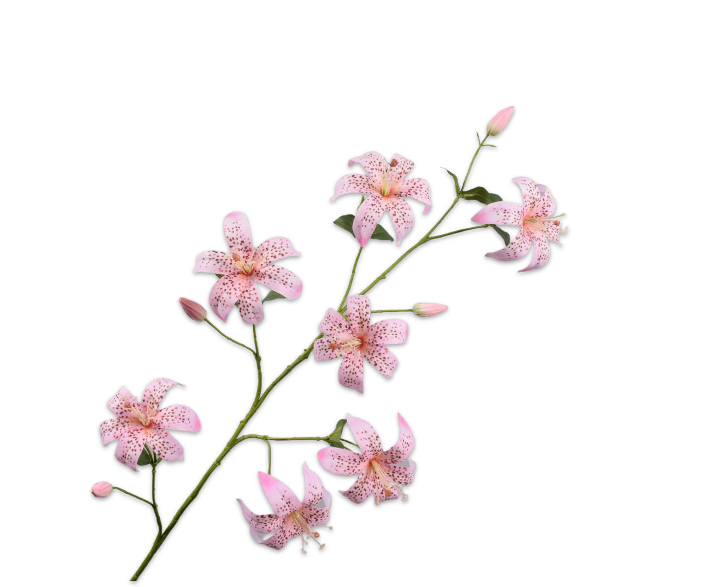 Lelie Tak 113cm (Roze)