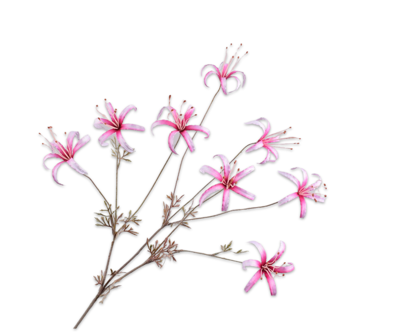 Lelie Tak 95cm (Lavendel/Roze)