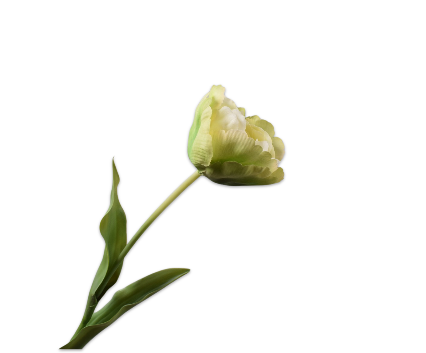 Tulp Steel 84cm (Groen/Wit)