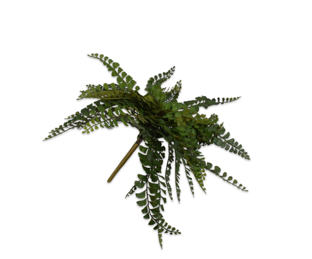 Varen Bush 40cm (Groen)