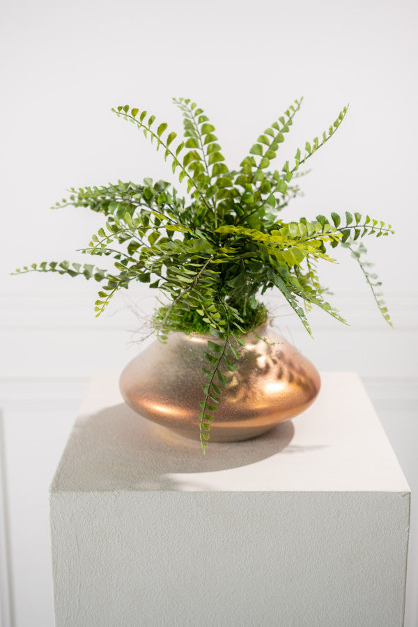 Varen Bush 40cm (Groen)