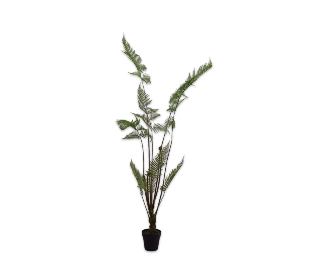 Varen in Pot 147cm (Groen)