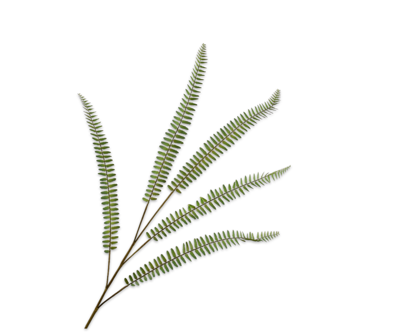 Varen Tak 106cm (Groen)