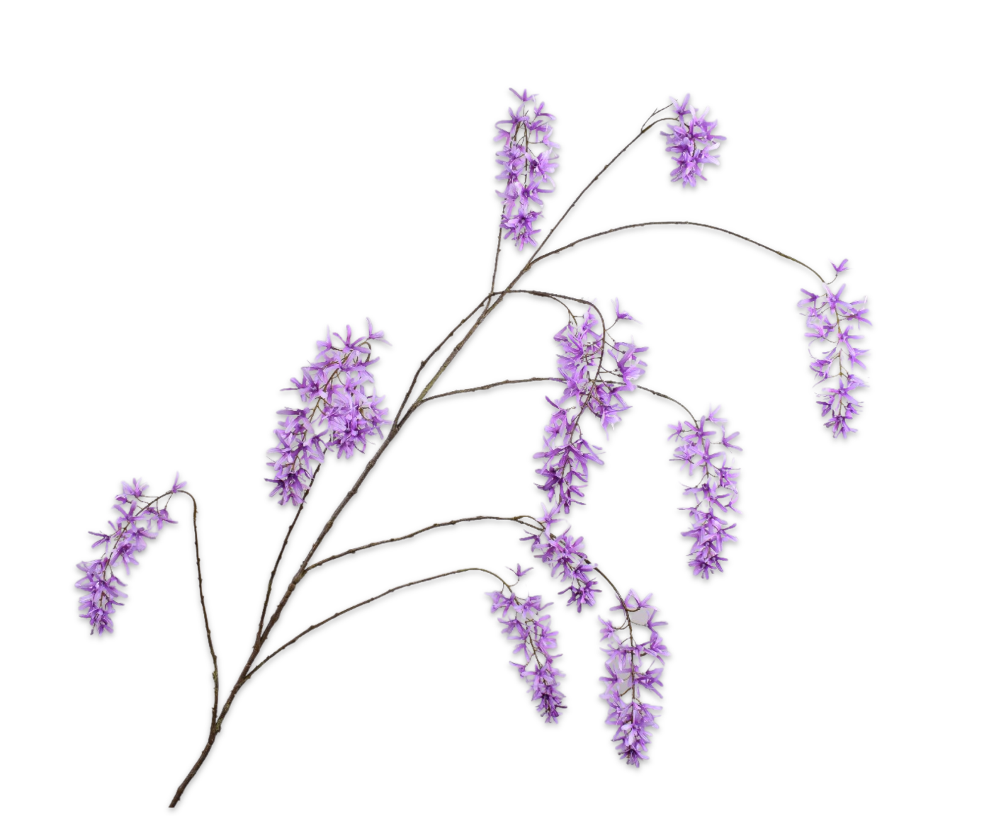Wisteria Tak 183cm (Paars)