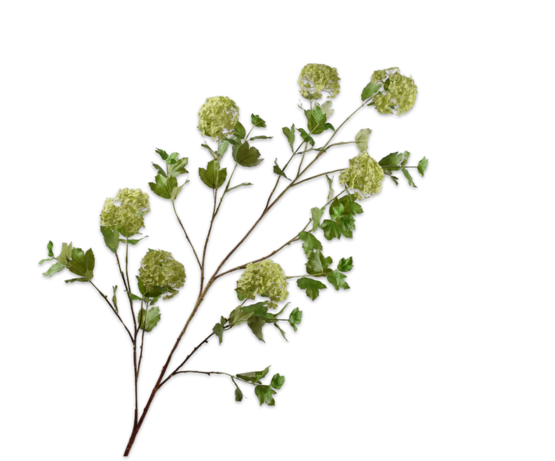 Sneeuwbal Tak 167cm (Groen)