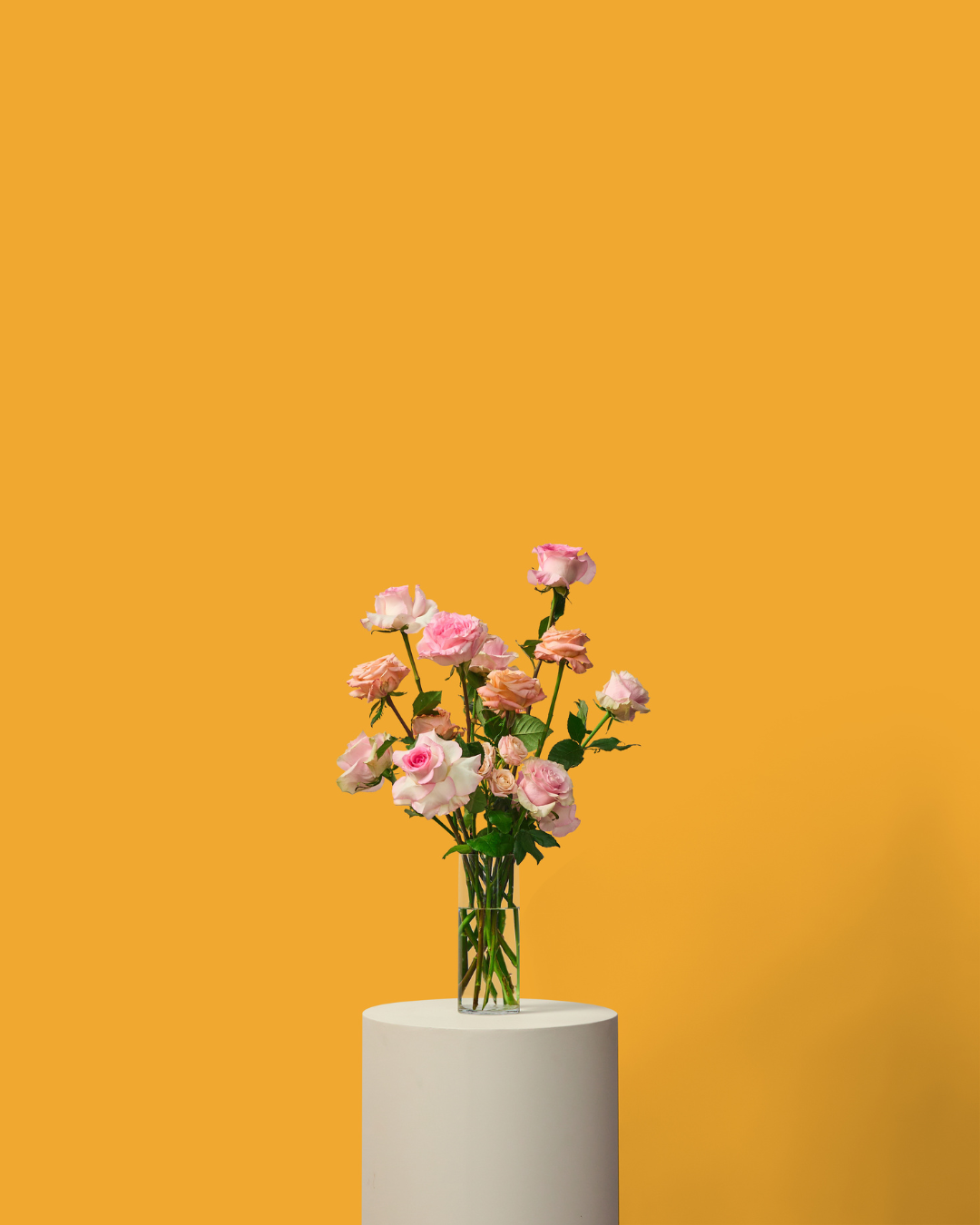La Vie en Rose