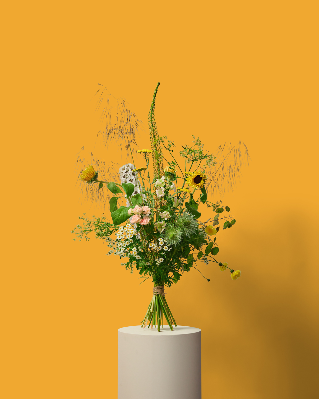 Radical Botanical