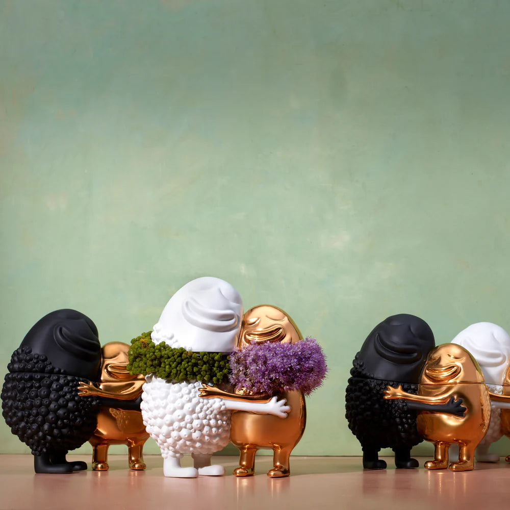 Haas Huggers Box (Black/Gold)