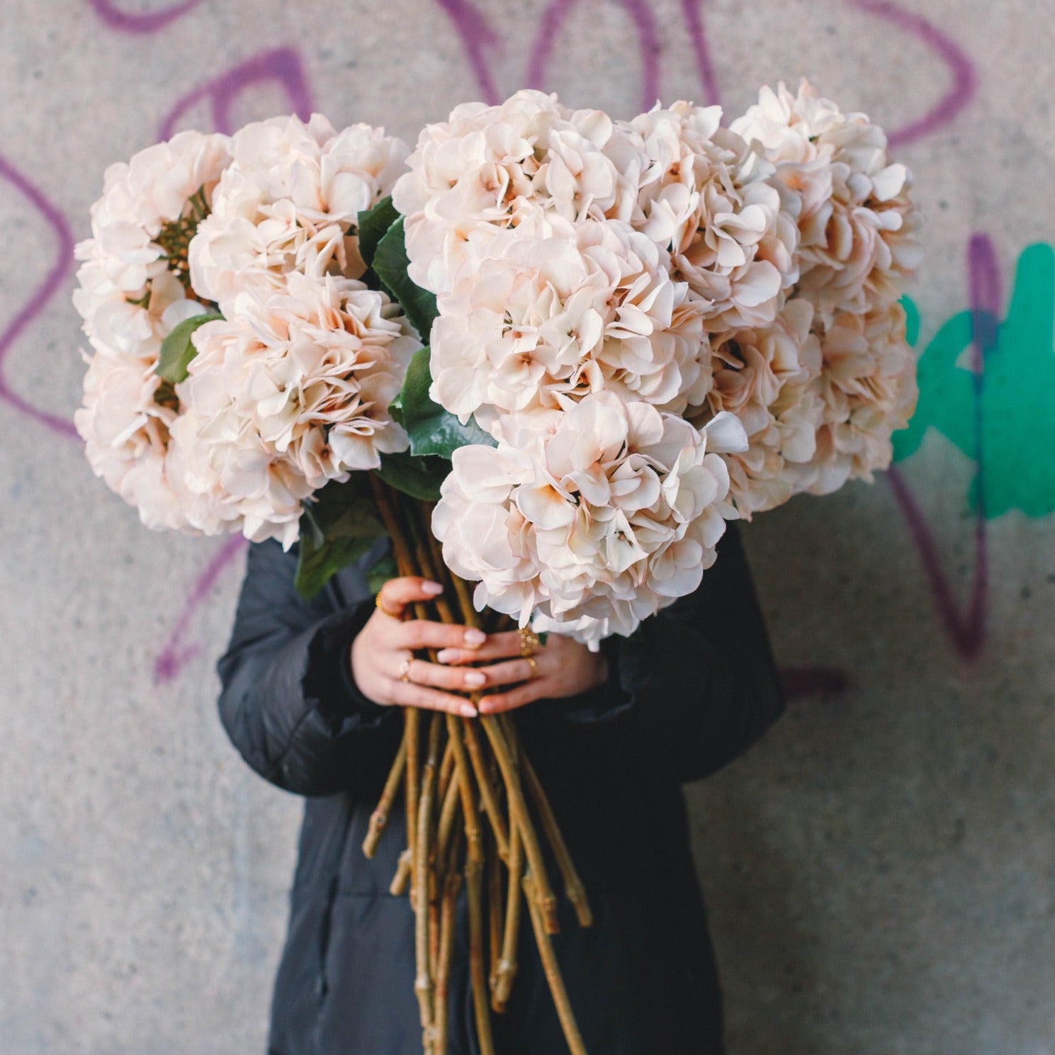 Artificial hortensia creme