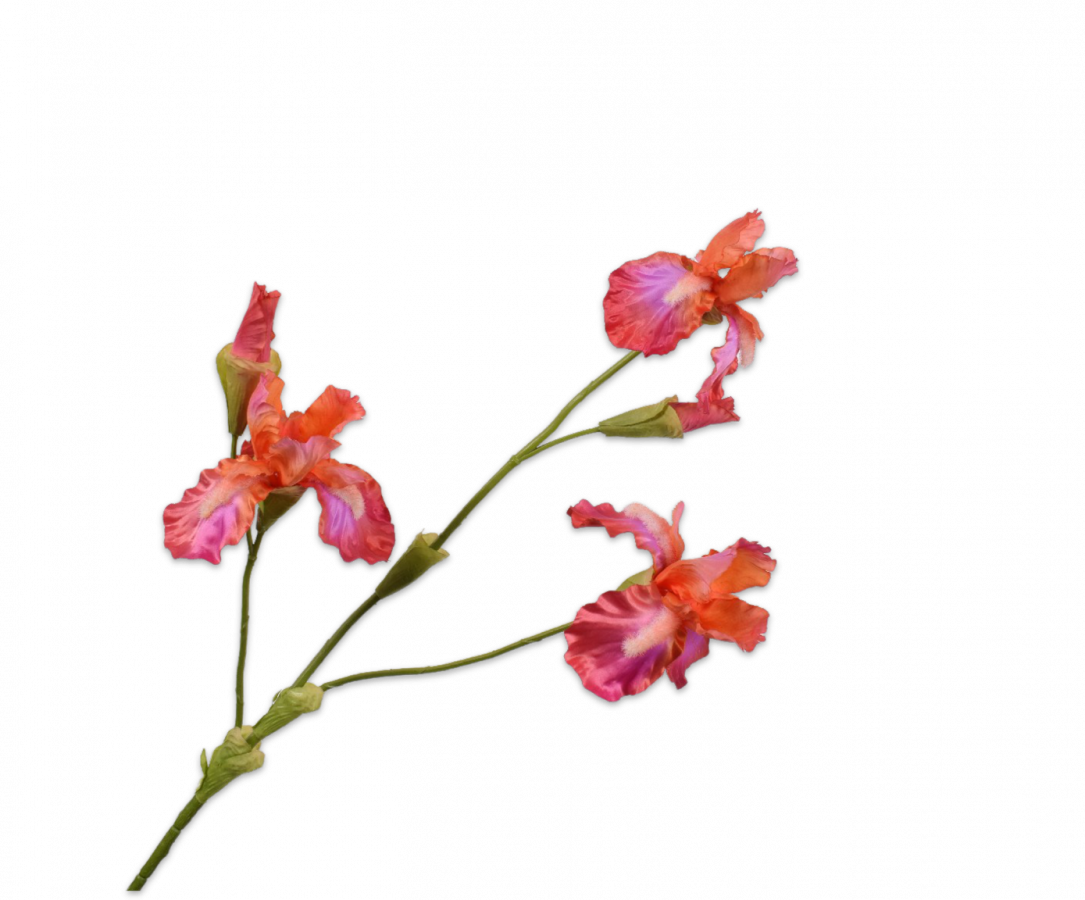 Artificial Iris tak oranje