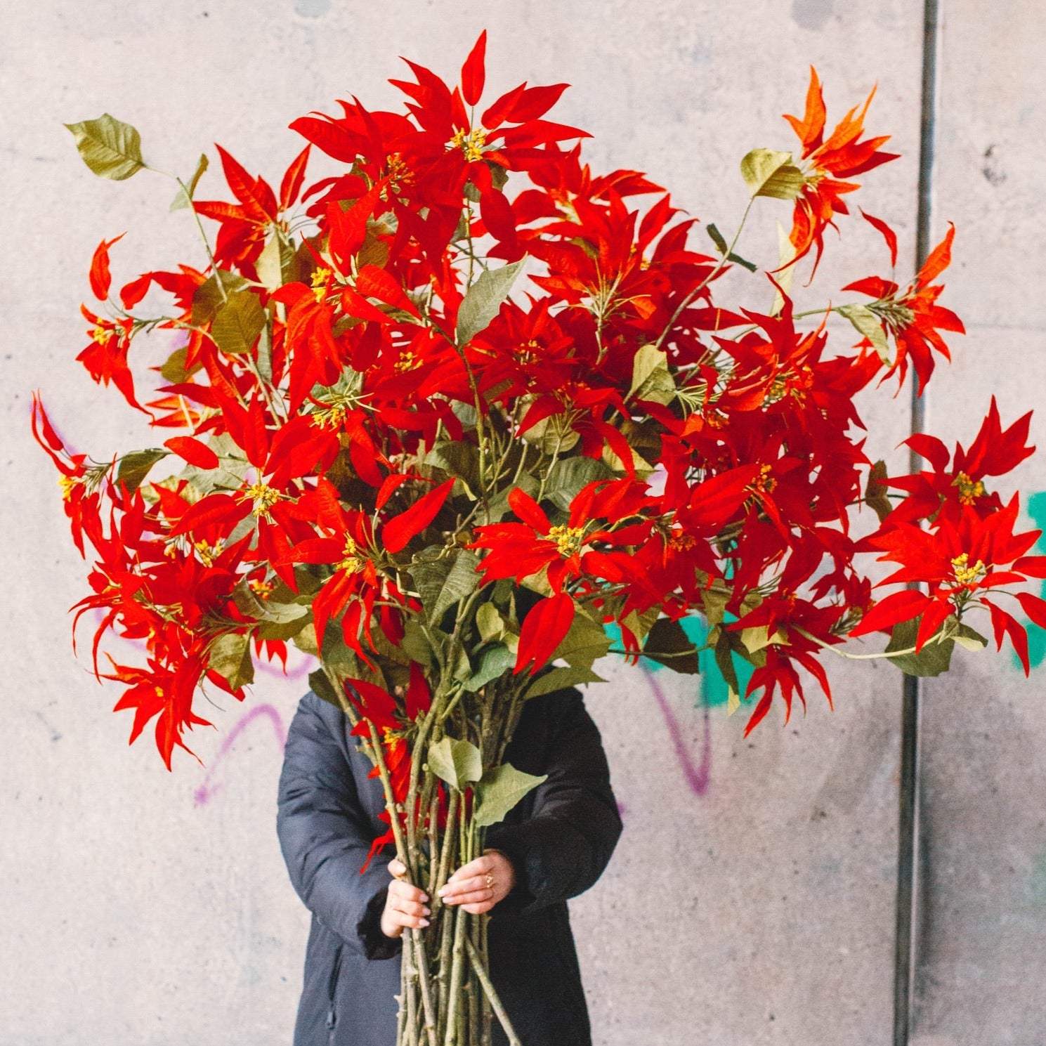 Kerstster 143cm (Rood)
