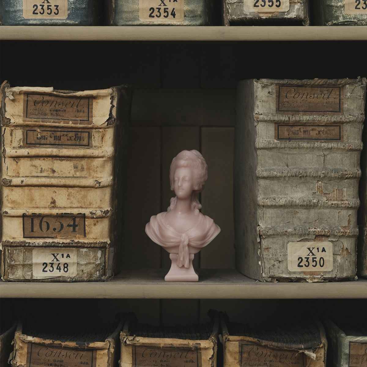 Buste marie antoinette terracotta