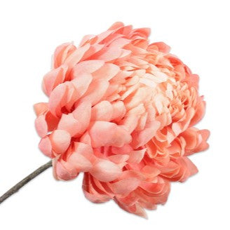 Chrysant 64cm (Perzik)