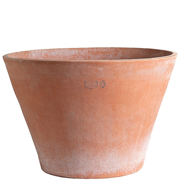 Pot Guscio terra