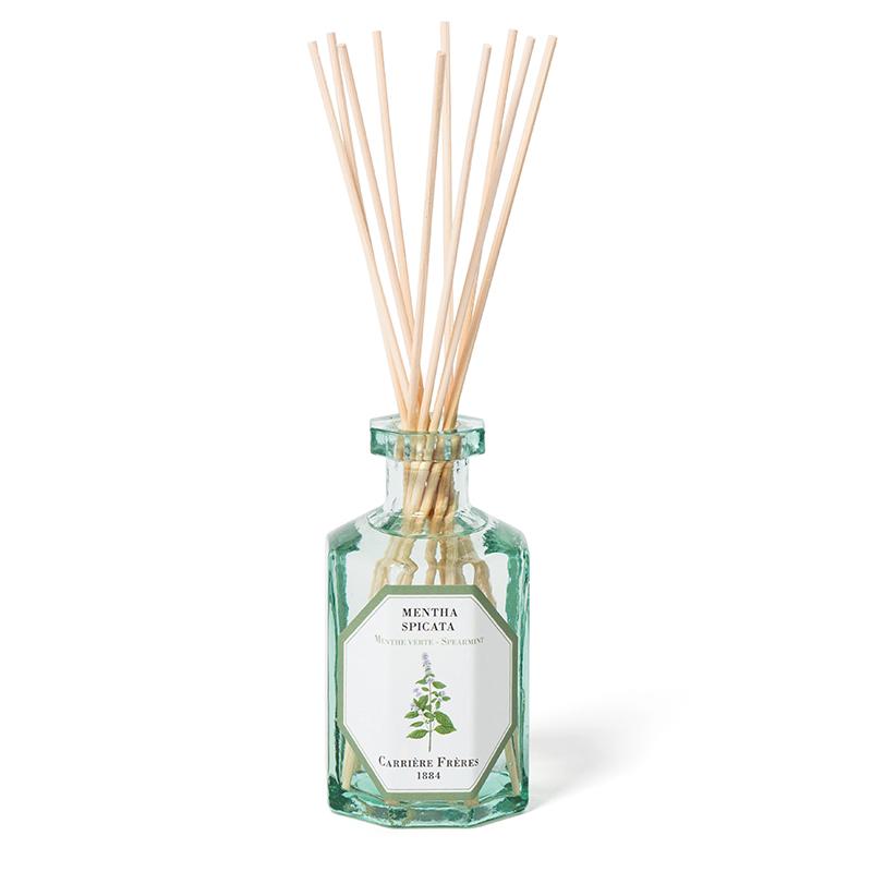Mentha Spicata Diffuser (Spearmint)