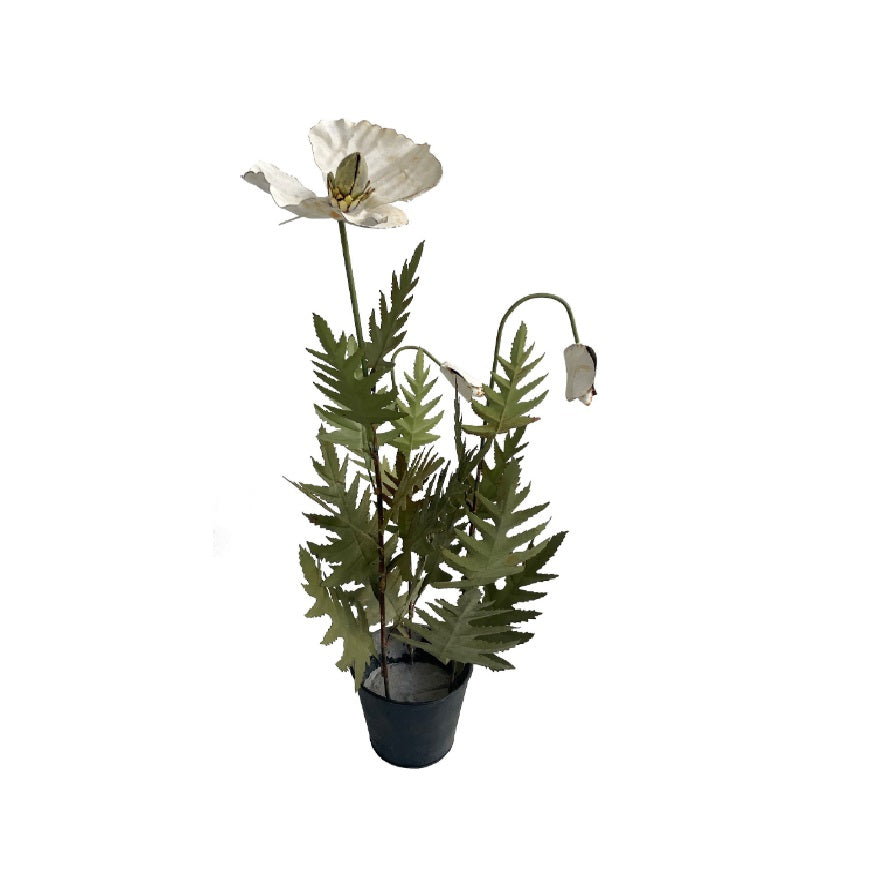 Metalen klaproos wit H58cm